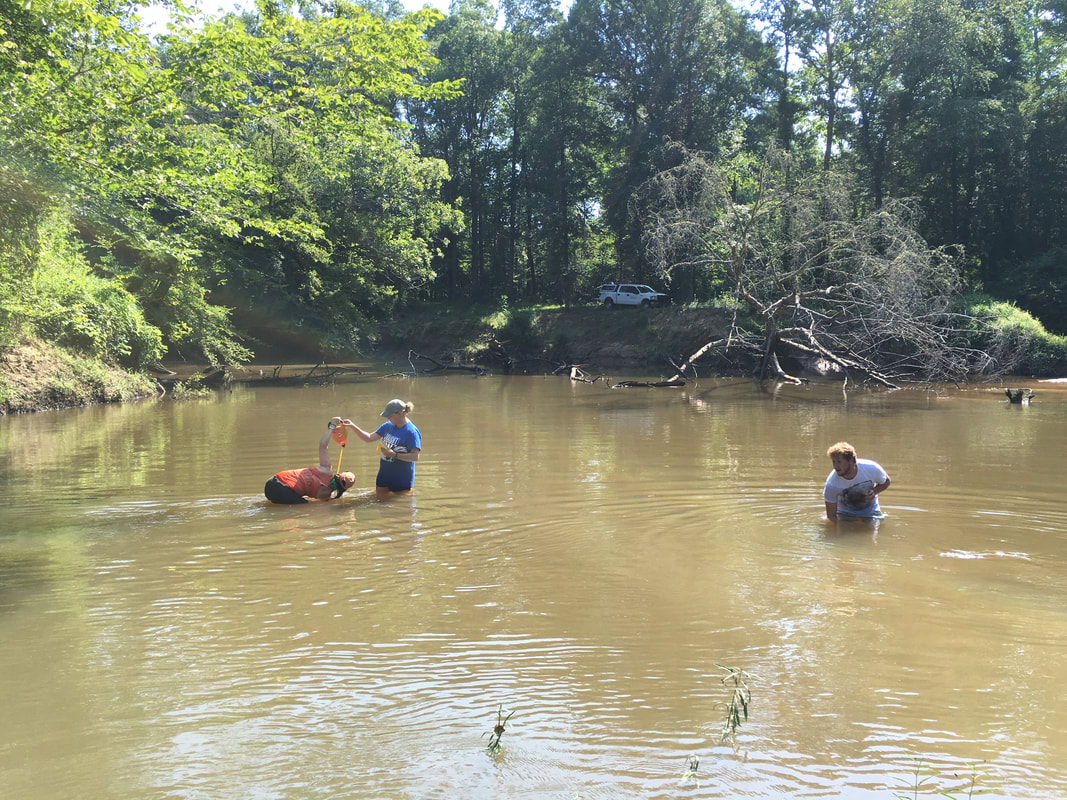 Picture Dr. Carla Atkinson and students assessing a site on the Sipsey River