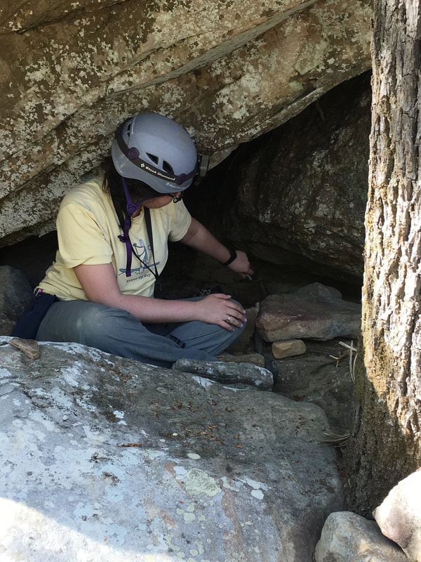 Picture Ray Lombardi examining flood sediment trapped in hillside boulders